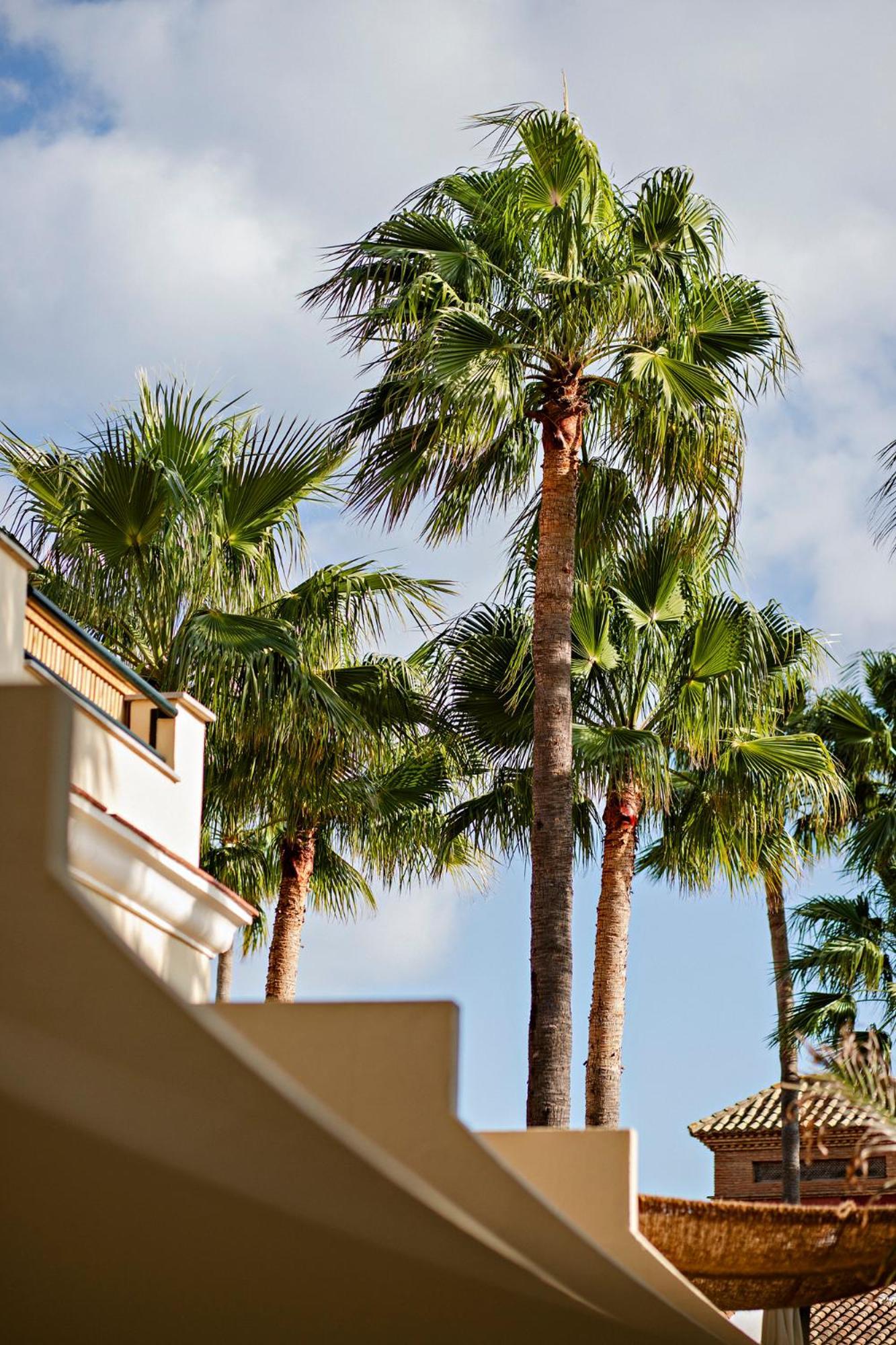 Alcaidesa Boutique Hotel エクステリア 写真